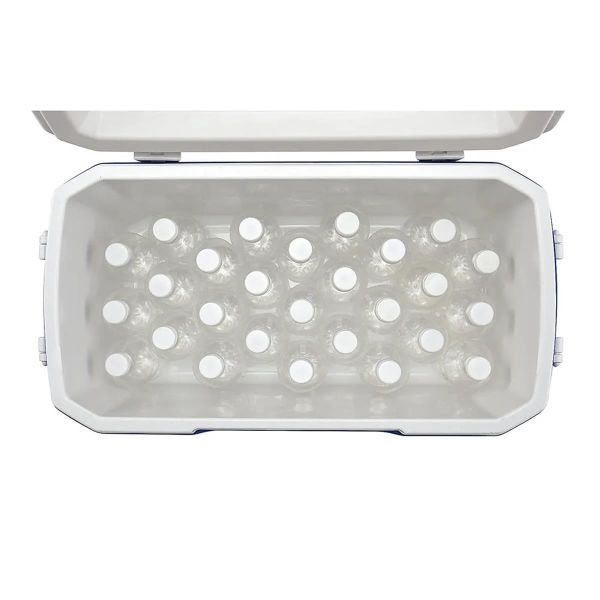 Coleman Poly-Lite 48 QT Taşınabilir Soğutucu Buzluk 45.7 Lt