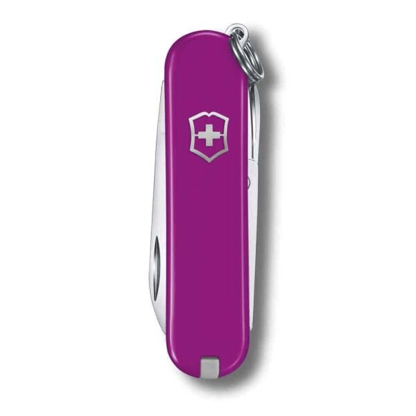Victorinox 0.6223.52G Tasty Grape Classic Çakı