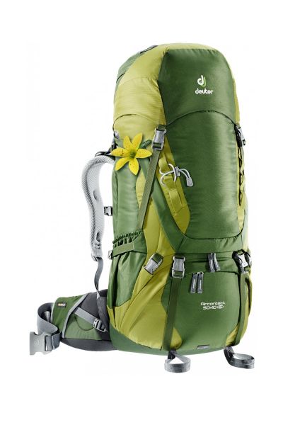 Deuter Aircontact 50 + 10 SL Kadın Sırt Çantası Pine-Moss