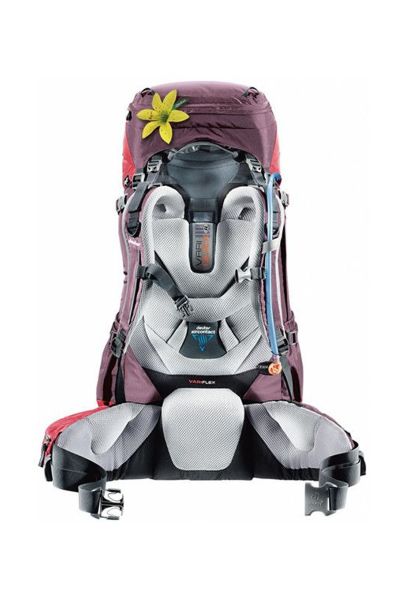 Deuter Aircontact 60 + 10 SL Kadın Sırt Çantası Aubergine-Cranberry