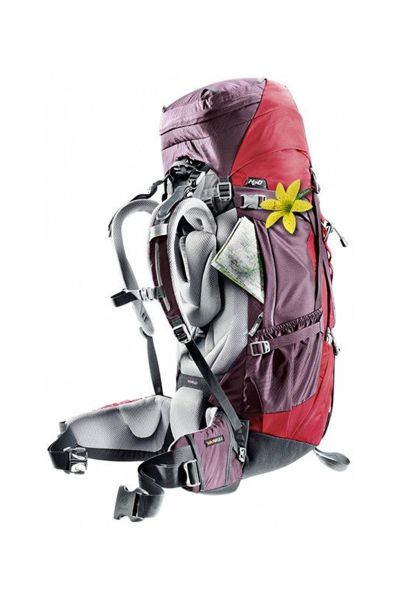 Deuter Aircontact 60 + 10 SL Kadın Sırt Çantası Aubergine-Cranberry