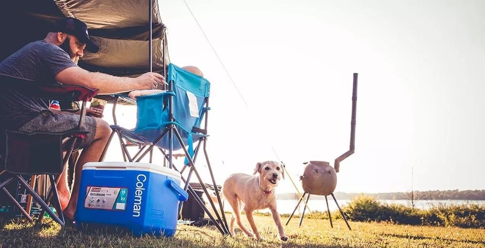 Coleman Performance Tri Color 16 QT Soğutucu Buzluk 15 Lt