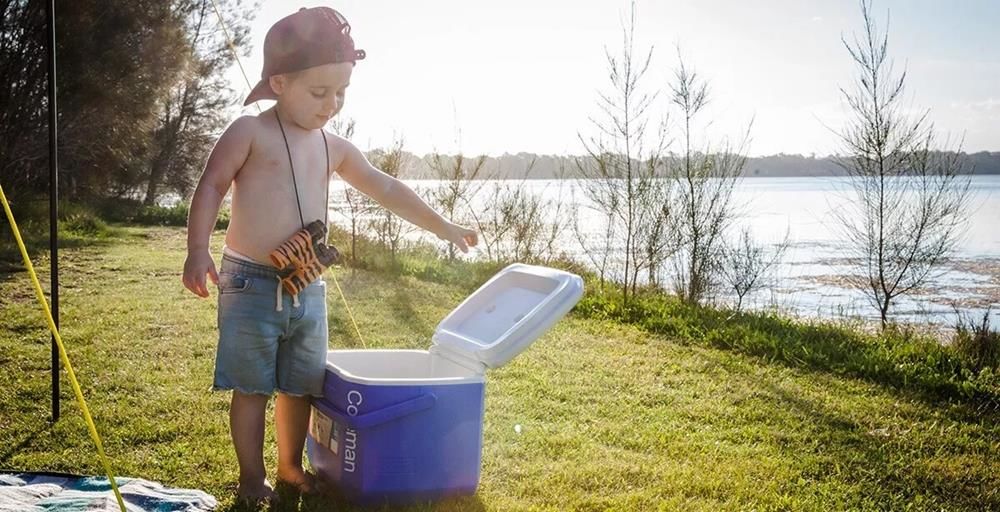 Coleman Performance Tri Color 16 QT Soğutucu Buzluk 15 Lt