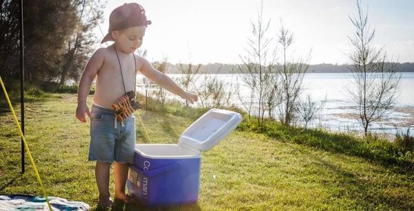 Coleman Performance Tri Color 16 QT Soğutucu Buzluk 15 Lt