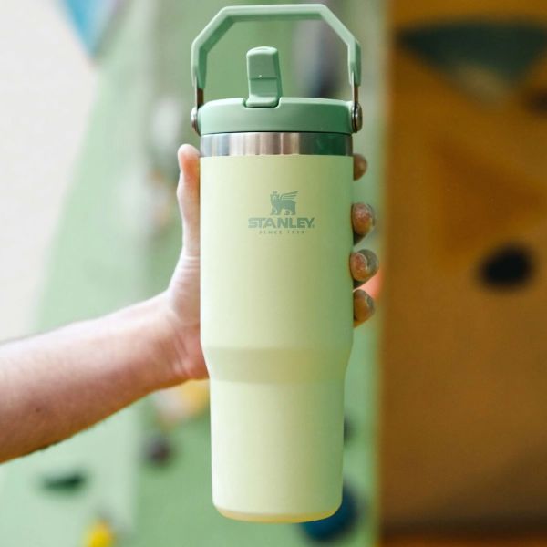 Stanley The IceFlow Flip Straw Pipetli Termos Bardak 0,89 LT