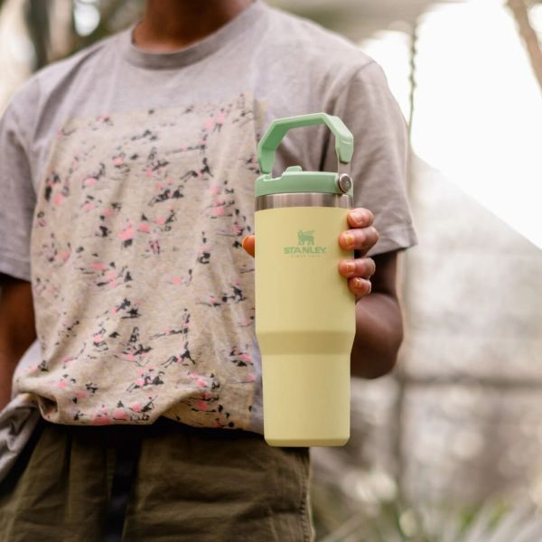 Stanley The IceFlow Flip Straw Pipetli Termos Bardak 0,89 LT