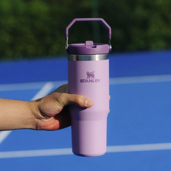 Stanley The IceFlow Flip Straw Pipetli Termos Bardak 0,89 LT