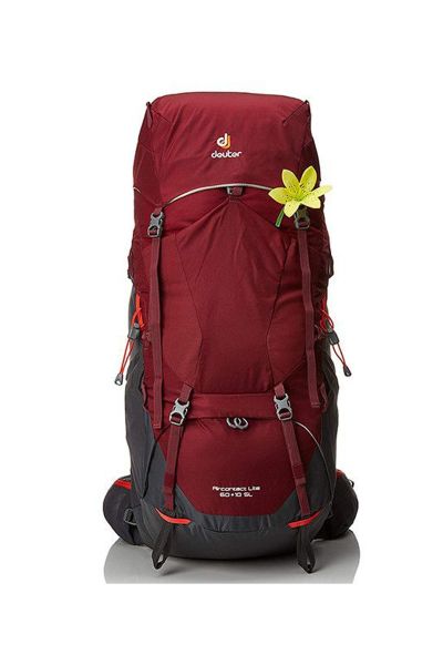DEUTER Aircontact Lite 60 + 10 SL Kadın Sırt Çantası maron-graphite